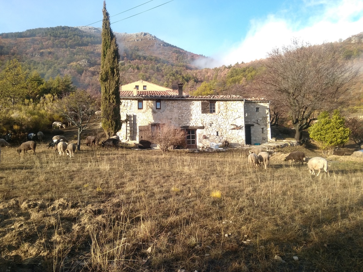 appartement dans propriété au coeur du Verdon