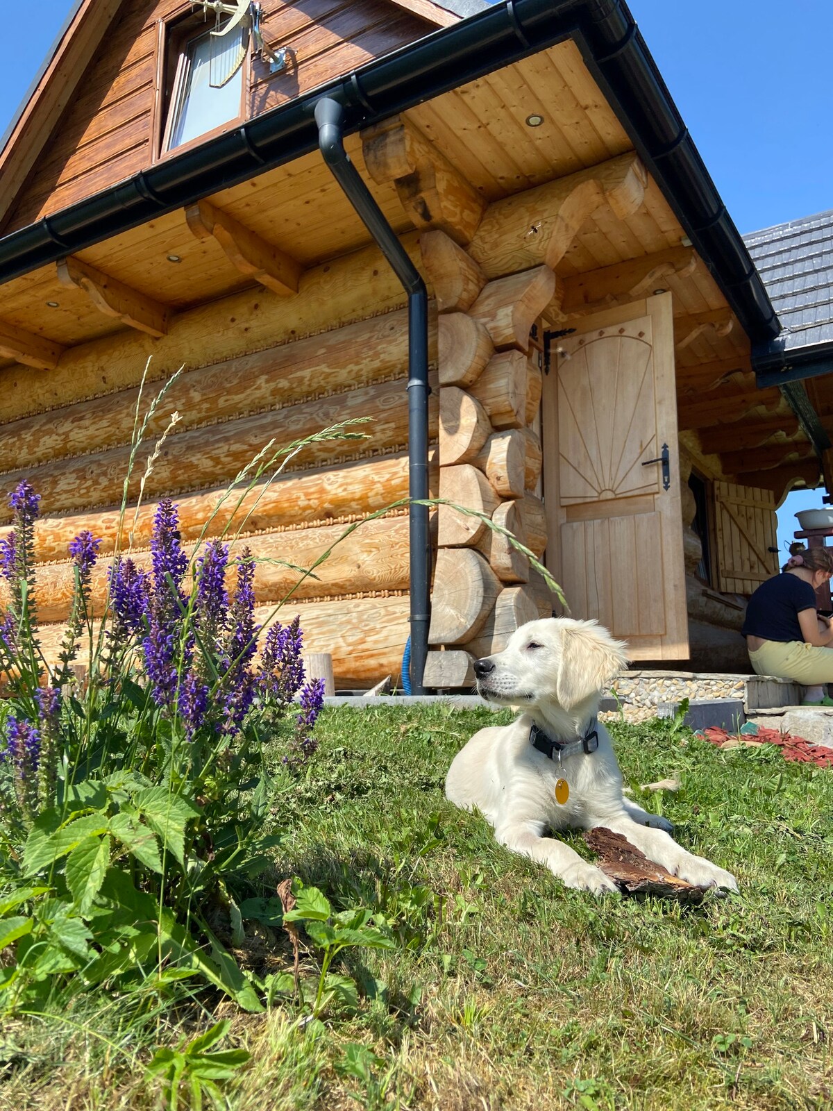 带球的小山人小屋