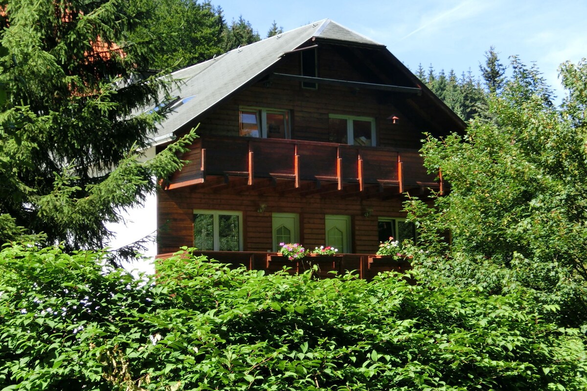 Apartment in Heubach Germany in the Forest