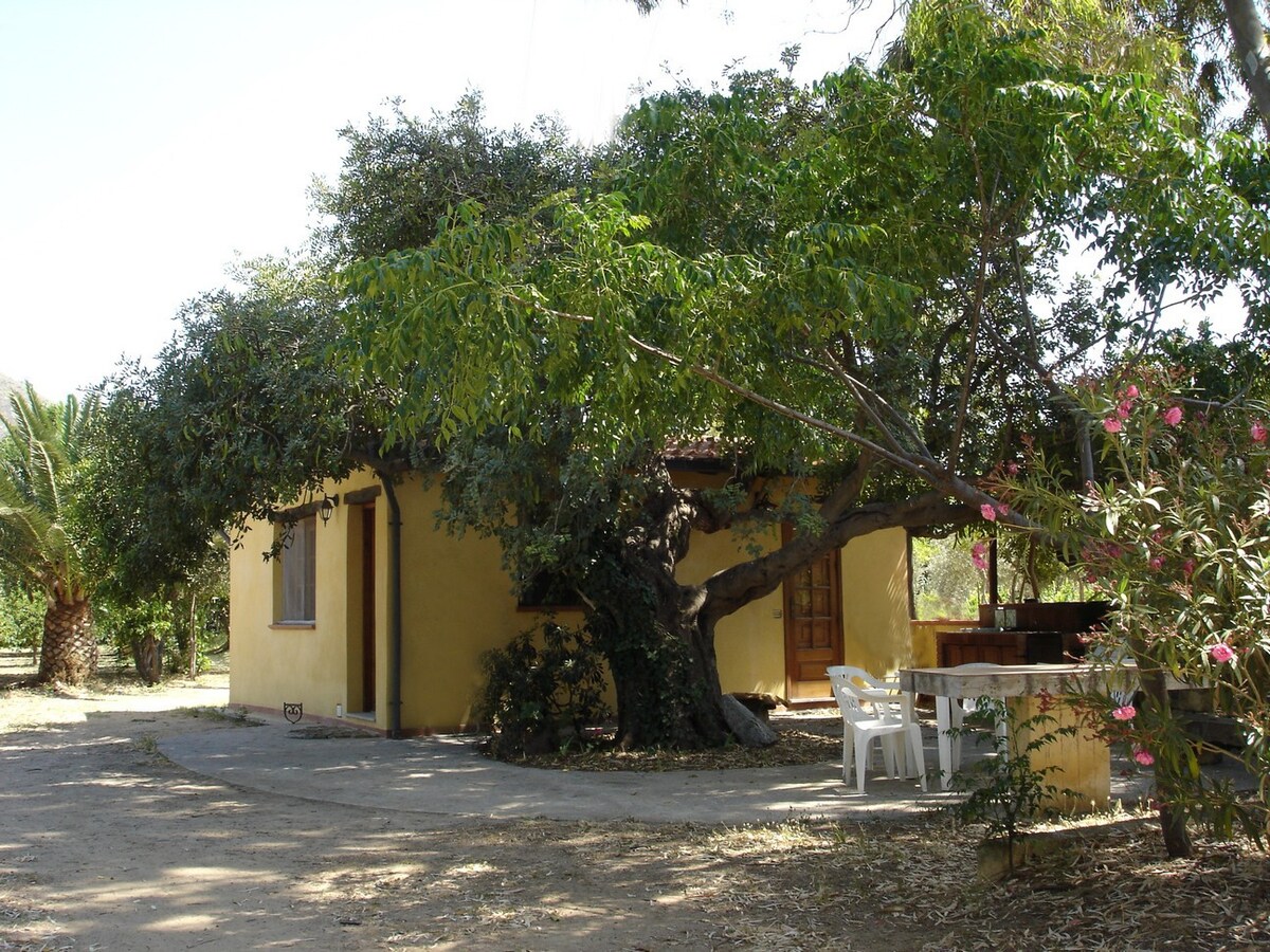 Carob Tree Cottage ：舒适，与海滩相连