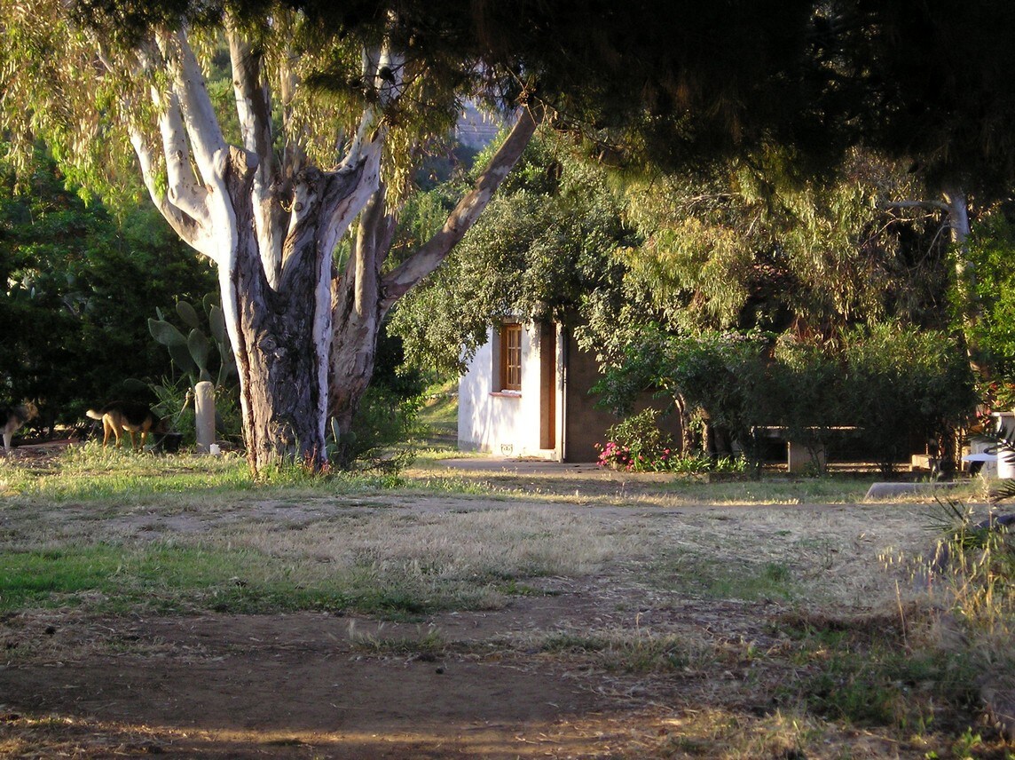 Carob Tree Cottage ：舒适，与海滩相连