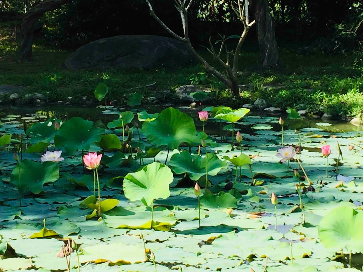 夏菏樹清靜宿(Orchard Corner)