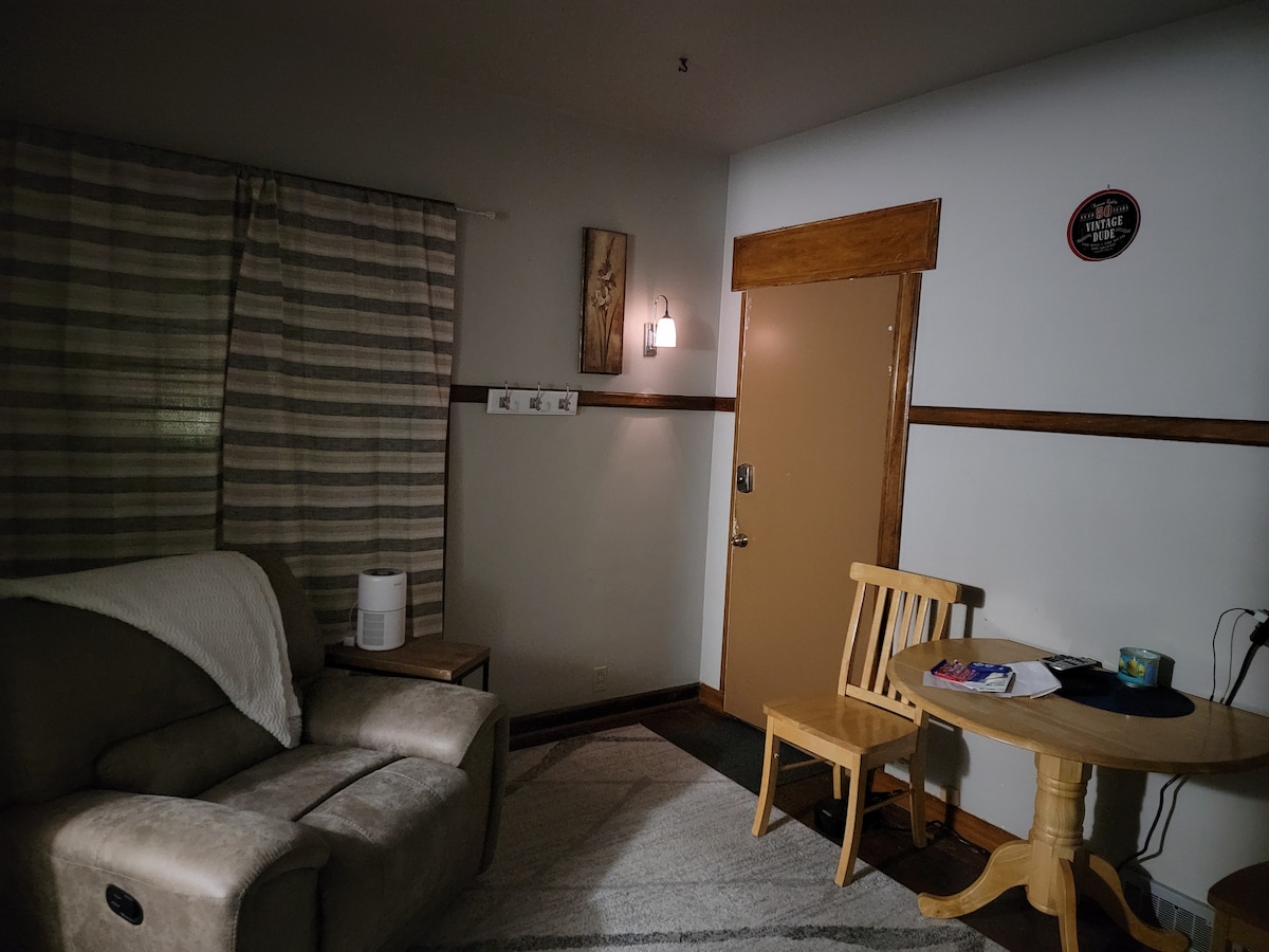 「单间公寓风格的卧室」工作和睡眠区（舒适的双人房）