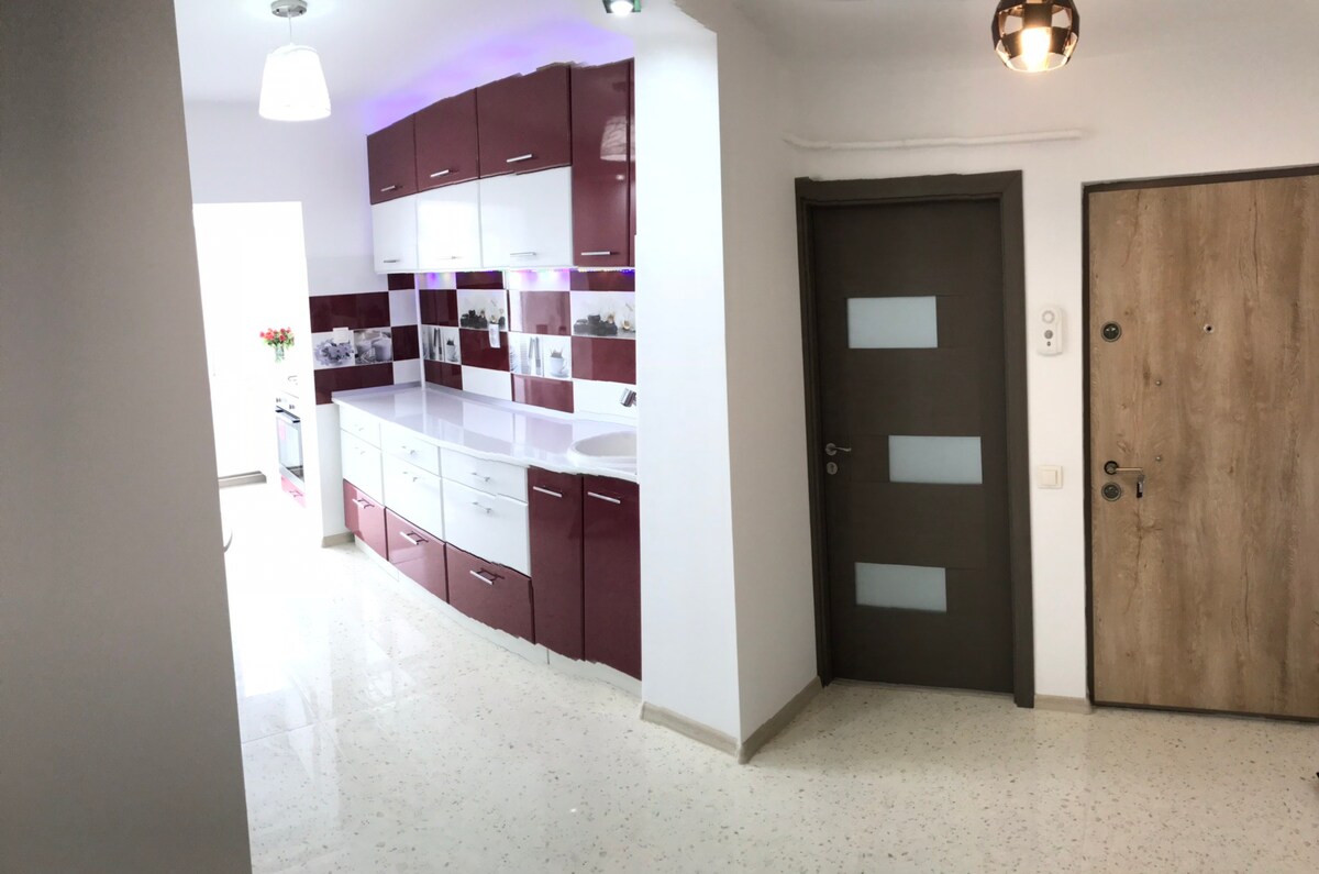 帕拉斯（ Pallas ）附近的豪华Central Apartamanet Iasi 2