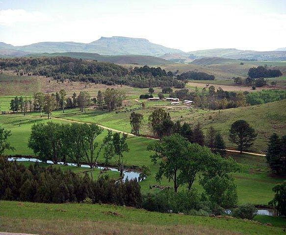 Farm stay: Riverview Cottage, The Bend Eco Estate