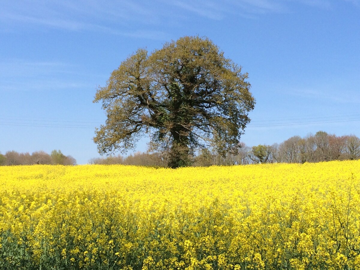 Une maison à la campagne