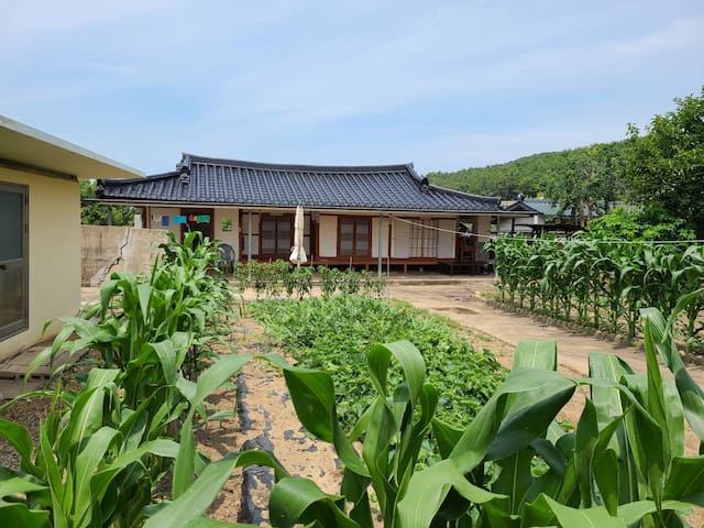 Yeonghae-myeon, Yeongdeog的民宿