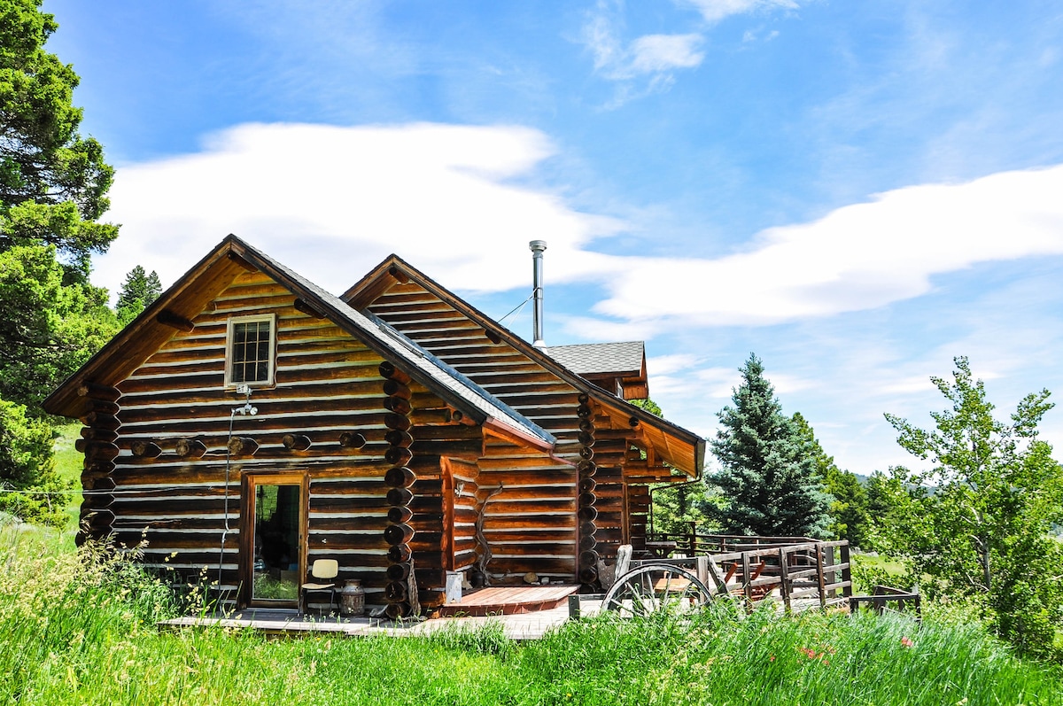 Bridger Bowl Ski的Bozeman Cabin in the Mountains