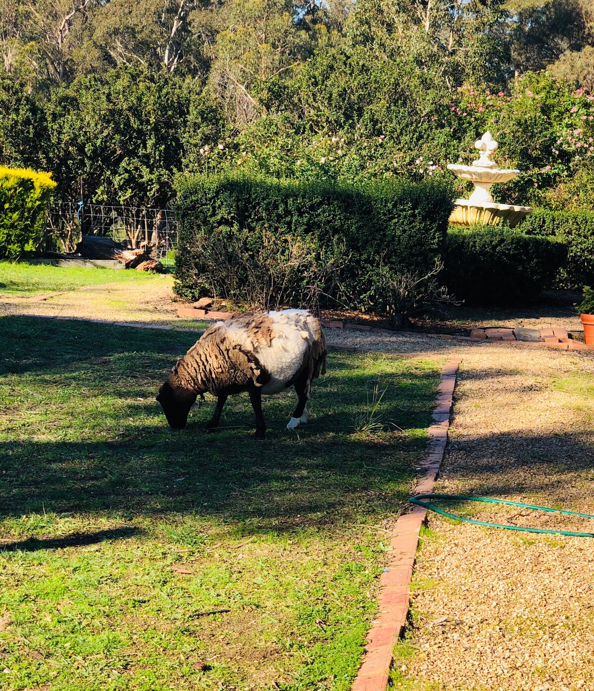 Nicholson Farm Stay Booleroo