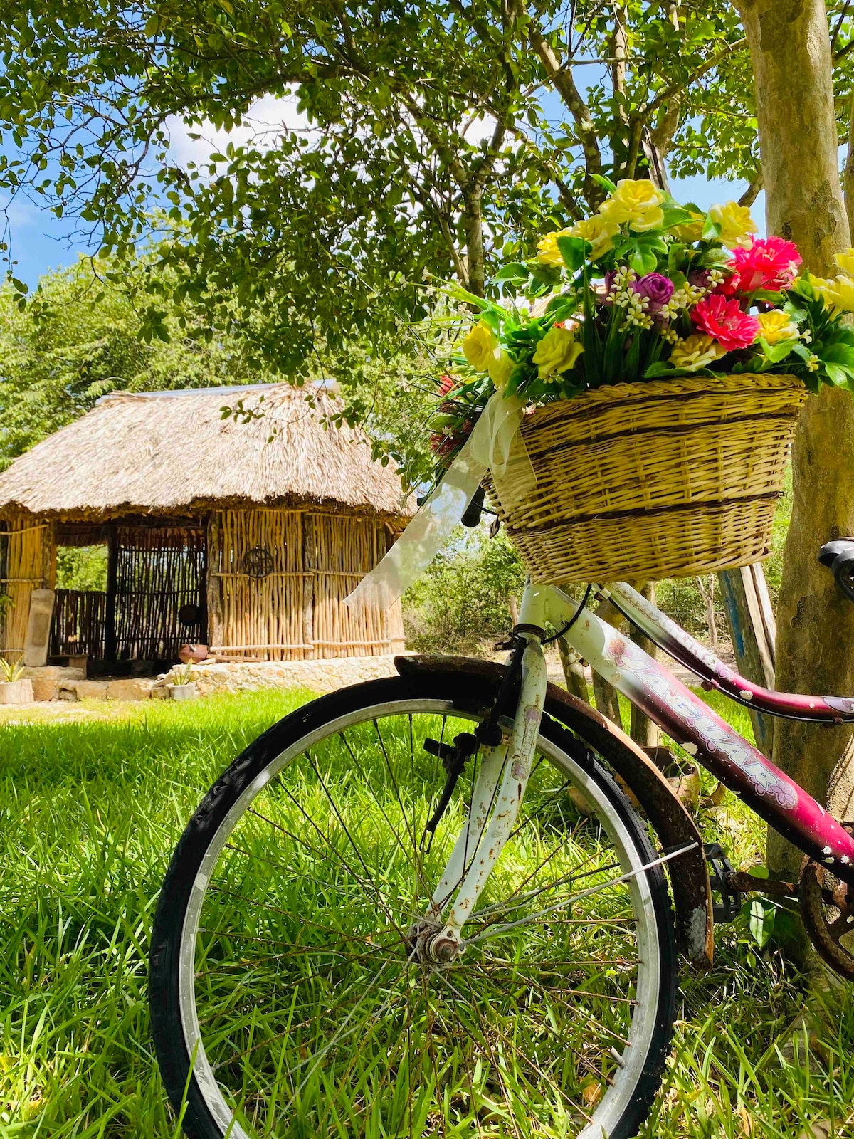 Hermosa casa con alberca Aldea Shabath