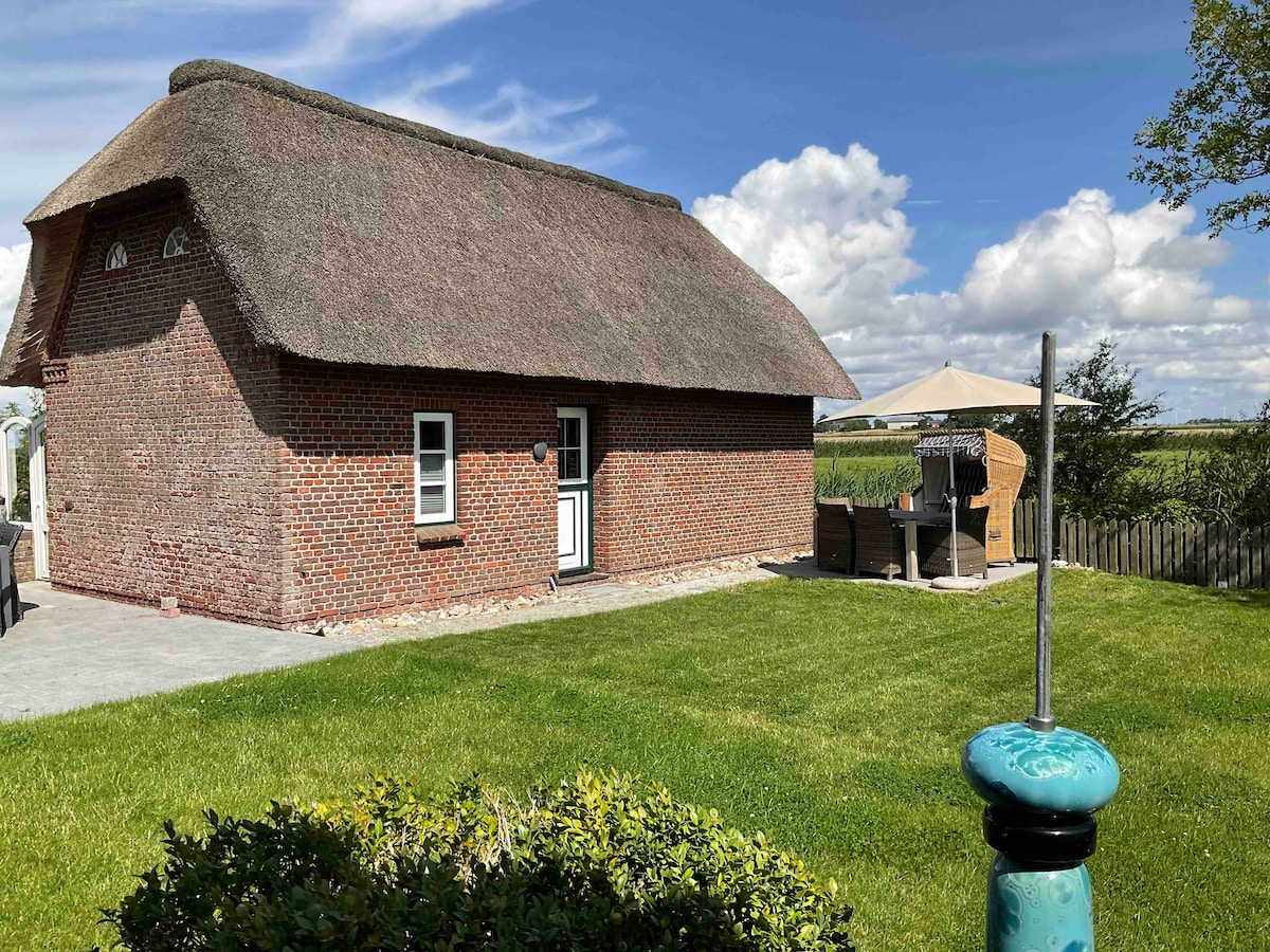 „Hyggelig am Deich“  Ferienhaus unter Reet