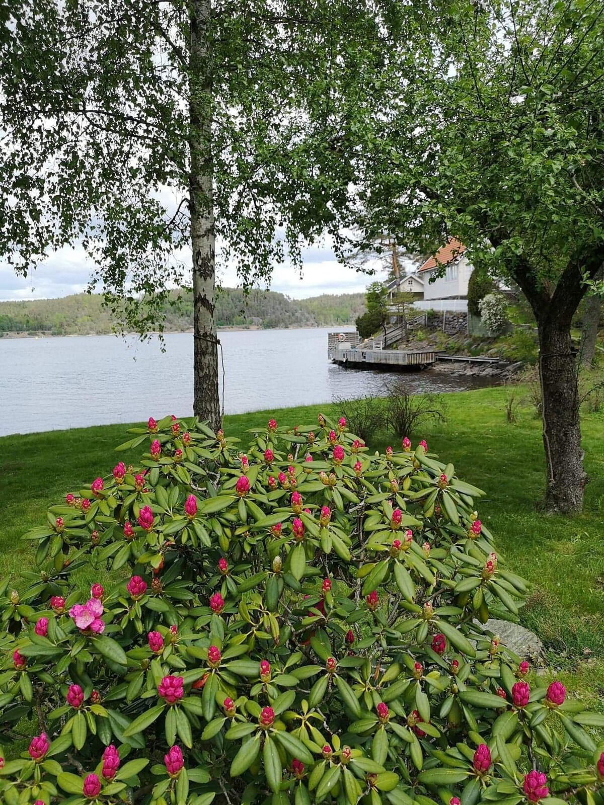 温馨的瑞典小屋，带有田园诗般的海滩和船只