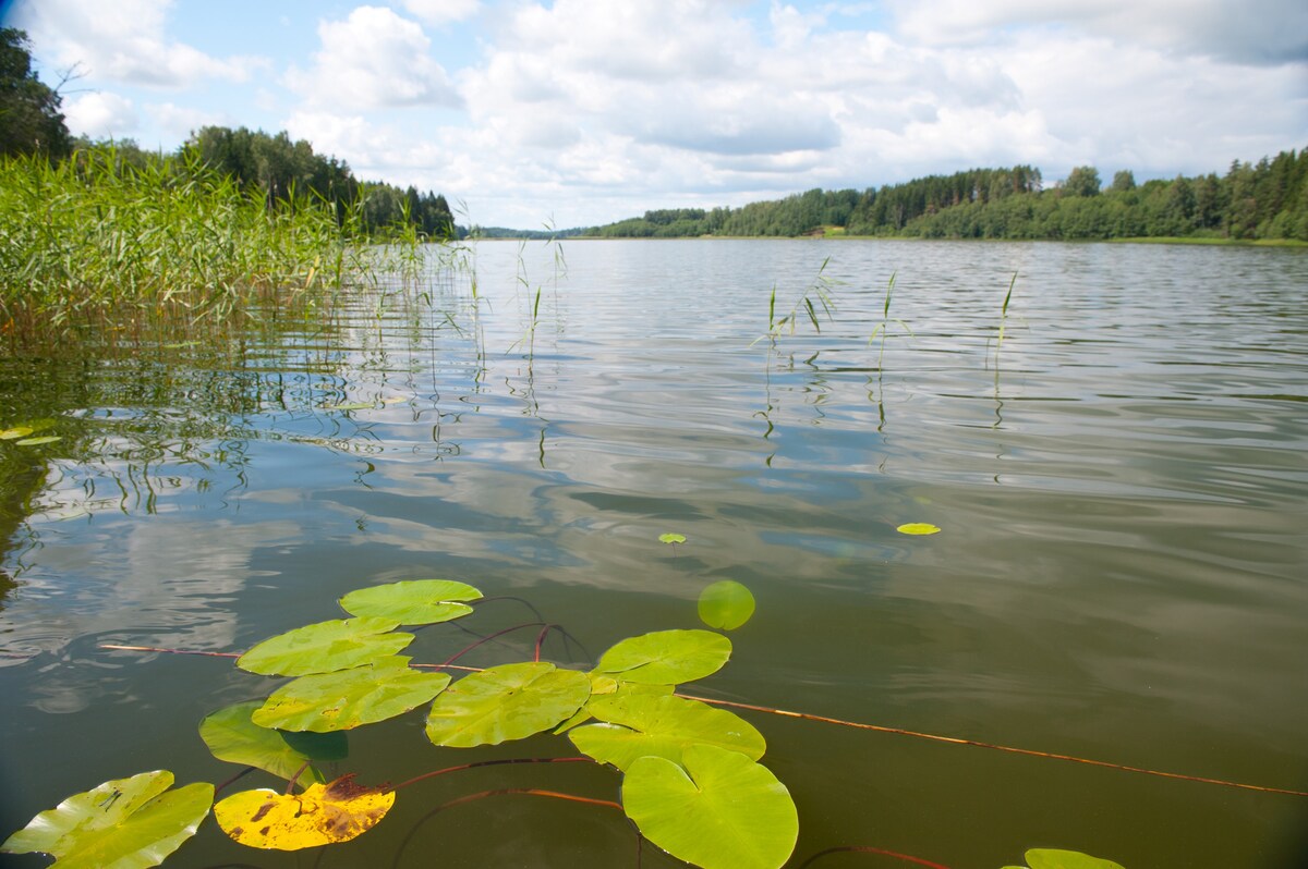 Järveoru holiday home