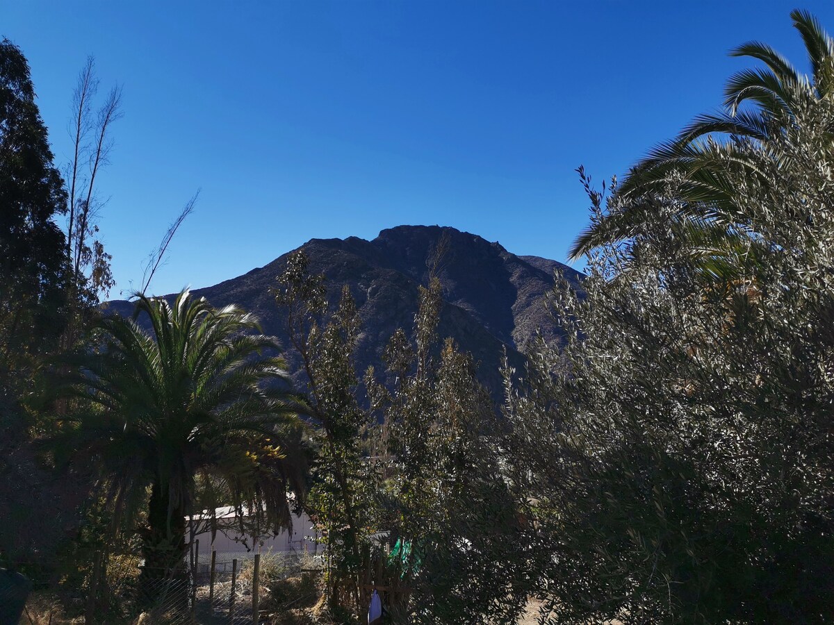 Casa Schwenke, Alto Molle, Valle del Elqui.