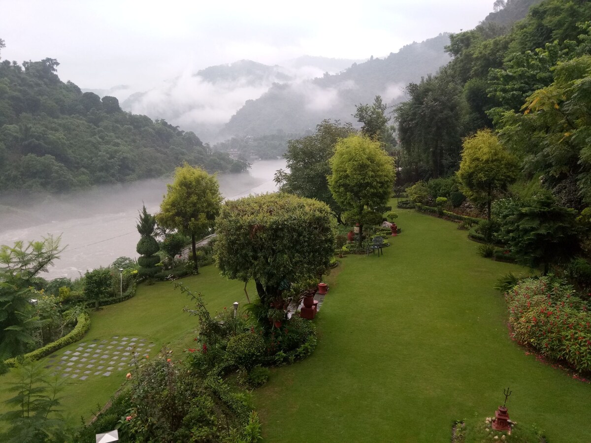 带郁郁葱葱的花园的海滨平房，精致。