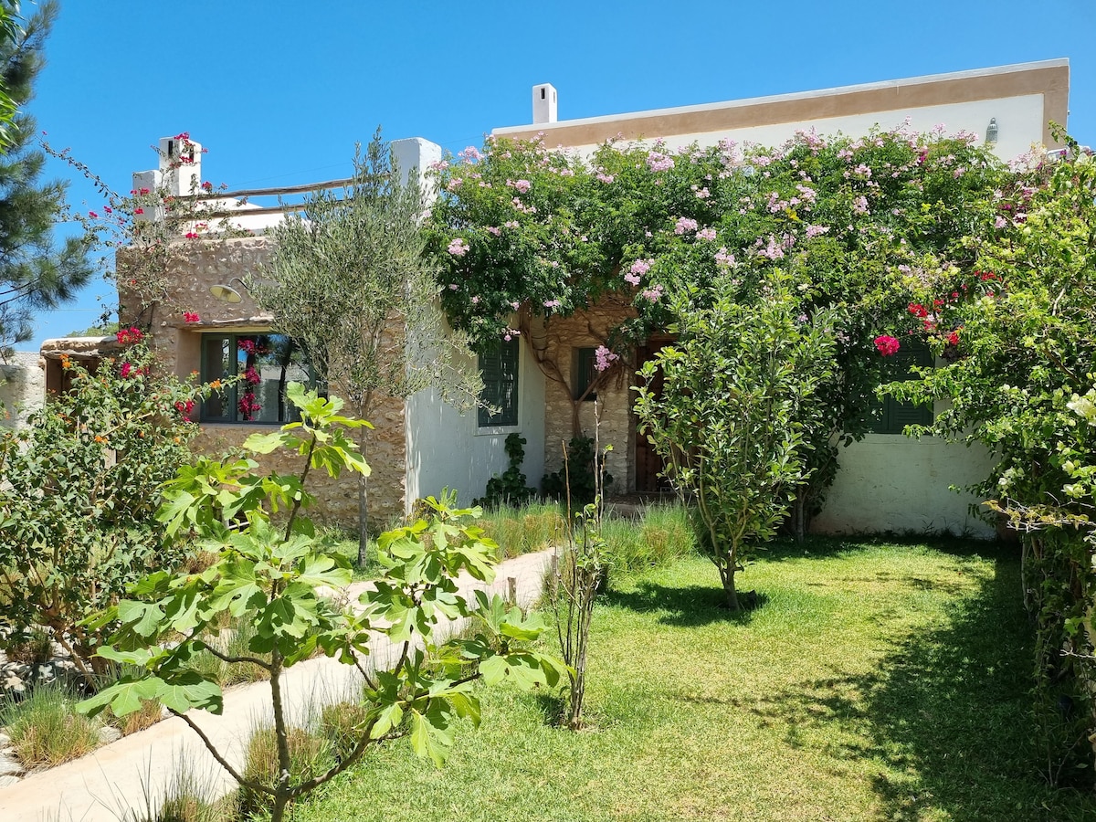 DAR ZOA: encantadora casa en Ghazoua/Essaouira