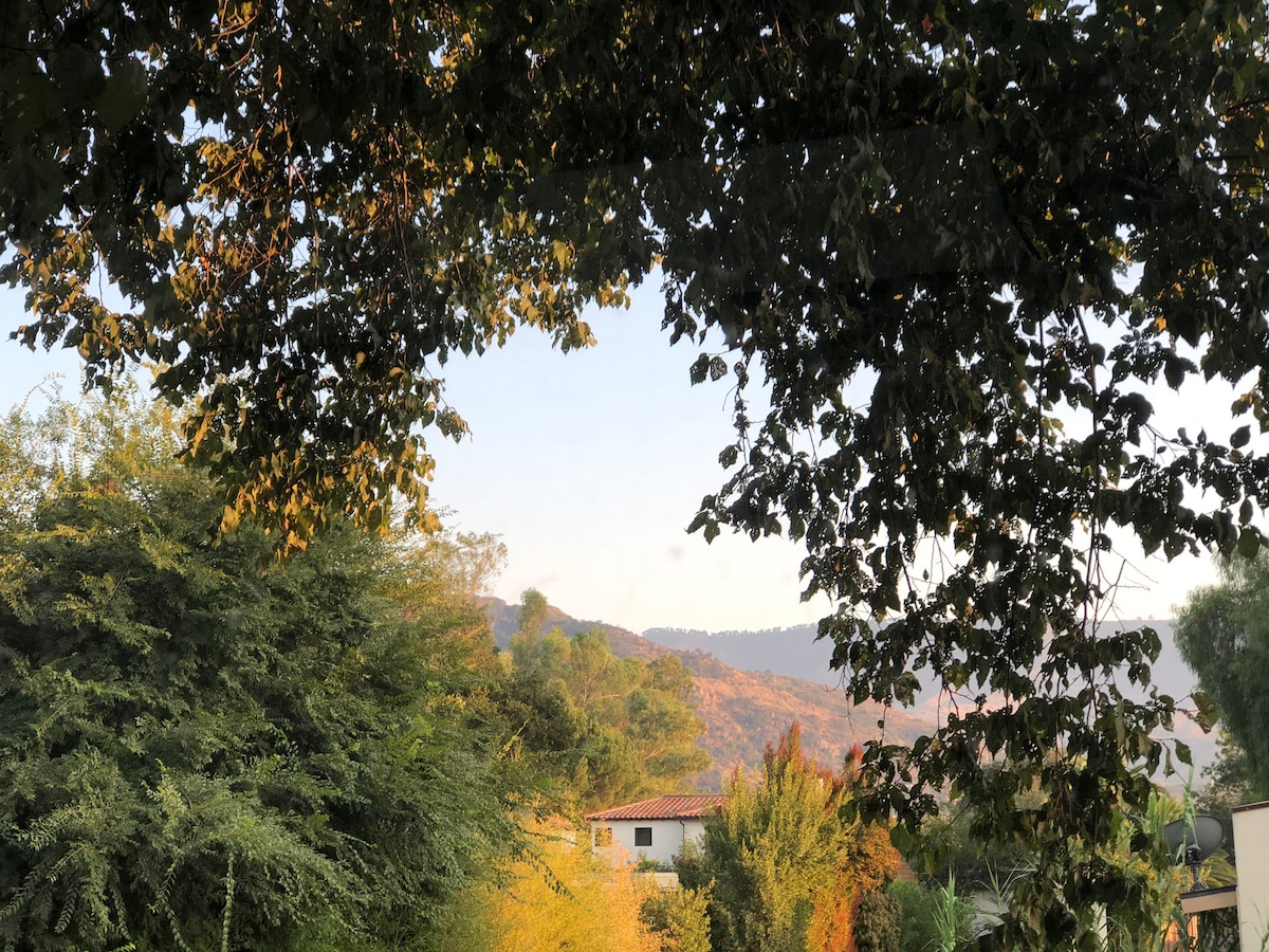 奥海隐秘平均