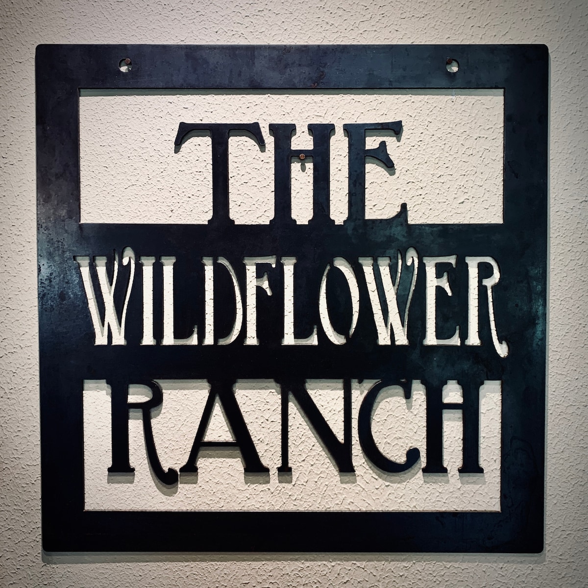 Wildflower Ranch ~ 40英亩-整套房源