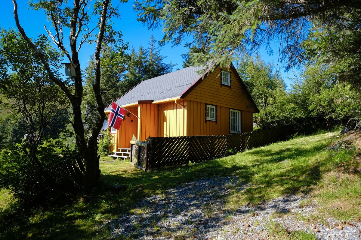 风景优美的埃尔维克小屋出租！