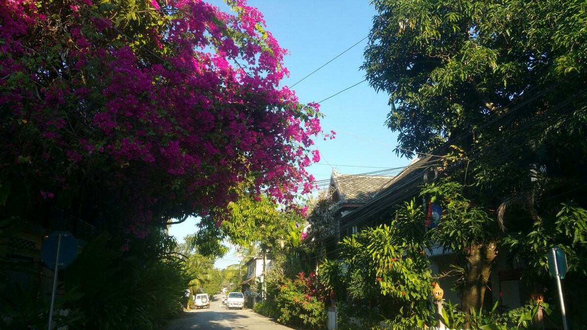 琅勃拉邦古城区整栋民宿,地理位置极佳,安静舒适,最有特色的古城入住体验