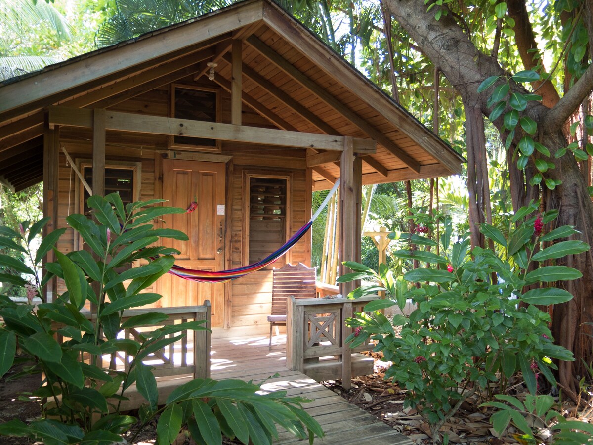 Cute cabin 2, beachfront property with dive shop.