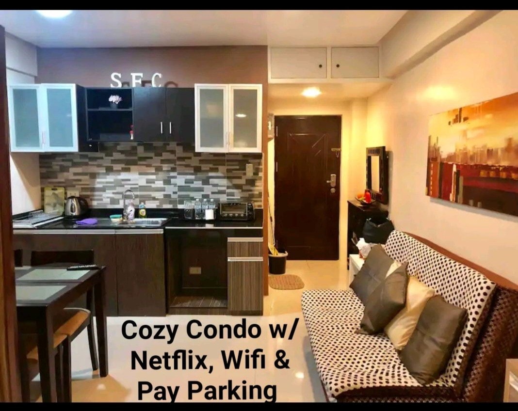 舒适的公寓，配备Netflix、免费无线网络和付费停车场