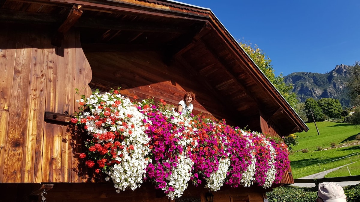 Hüttenappartement Bergblick mit Kachelofen