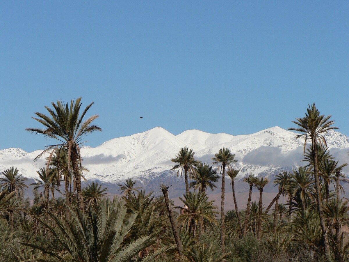 Kasbah la palm grove生态房东农场