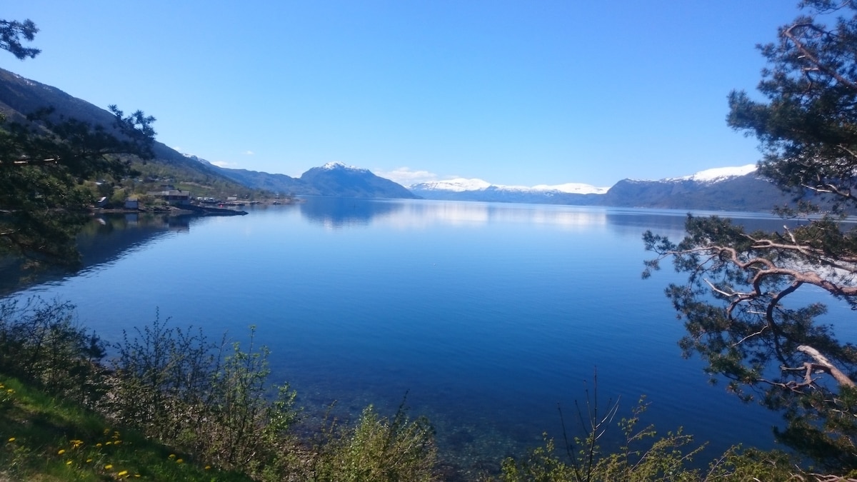 哈登峡湾（ Fjord in Hardanger ）的宽敞房源