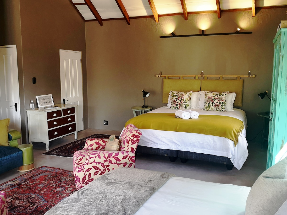 A cozy, artistic suburb-stay @ Alice in Africa