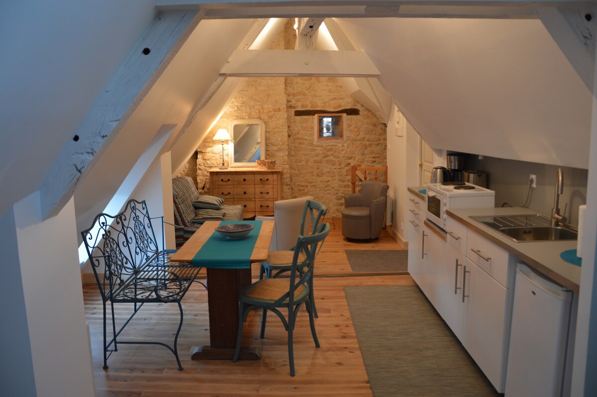 历史悠久的Vezelay公寓舒适的单间公寓
