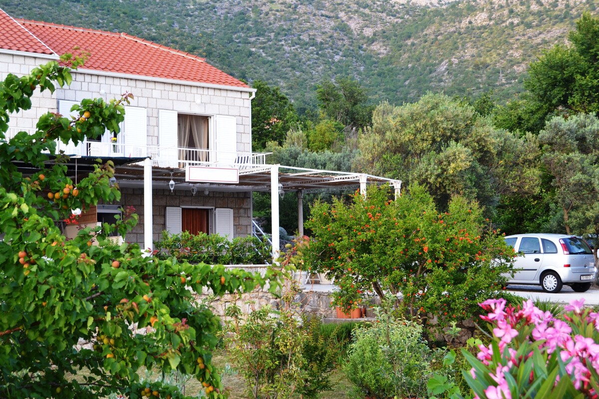 Lina 1_ Apartment with Terrace, Garden & Sea View