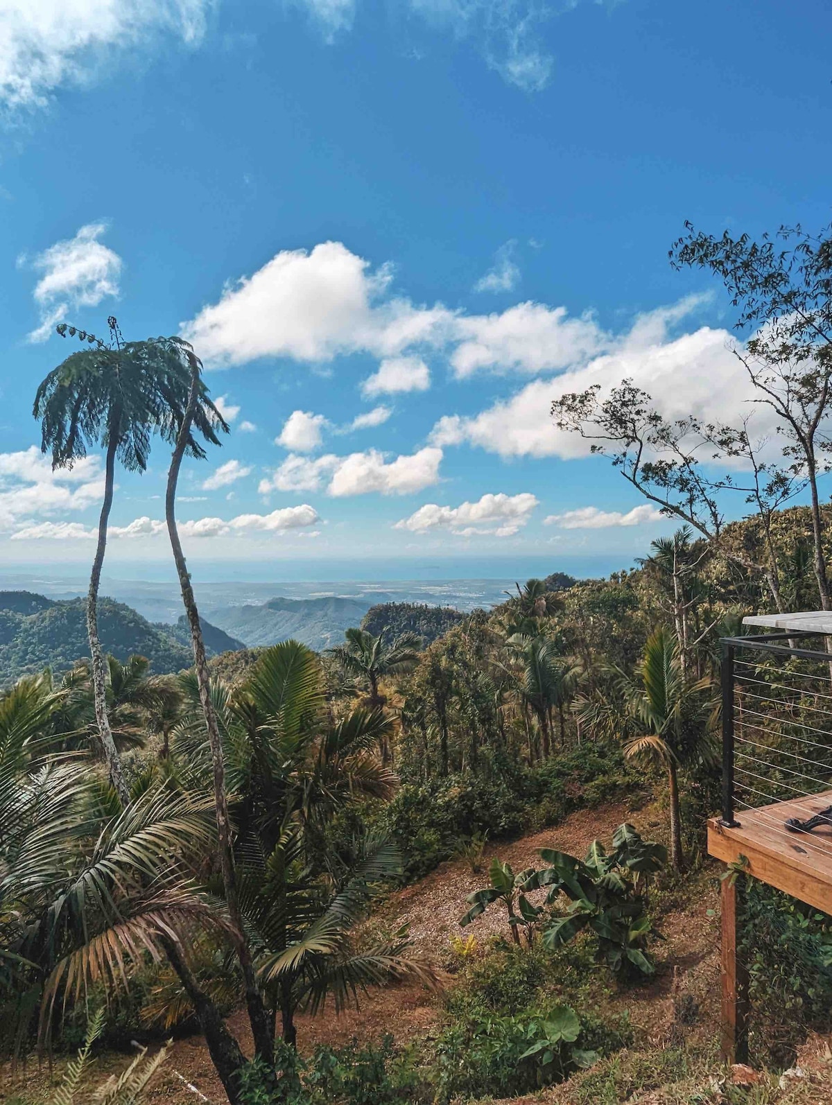 Toro Negro Mountaintop Ocean View Finca