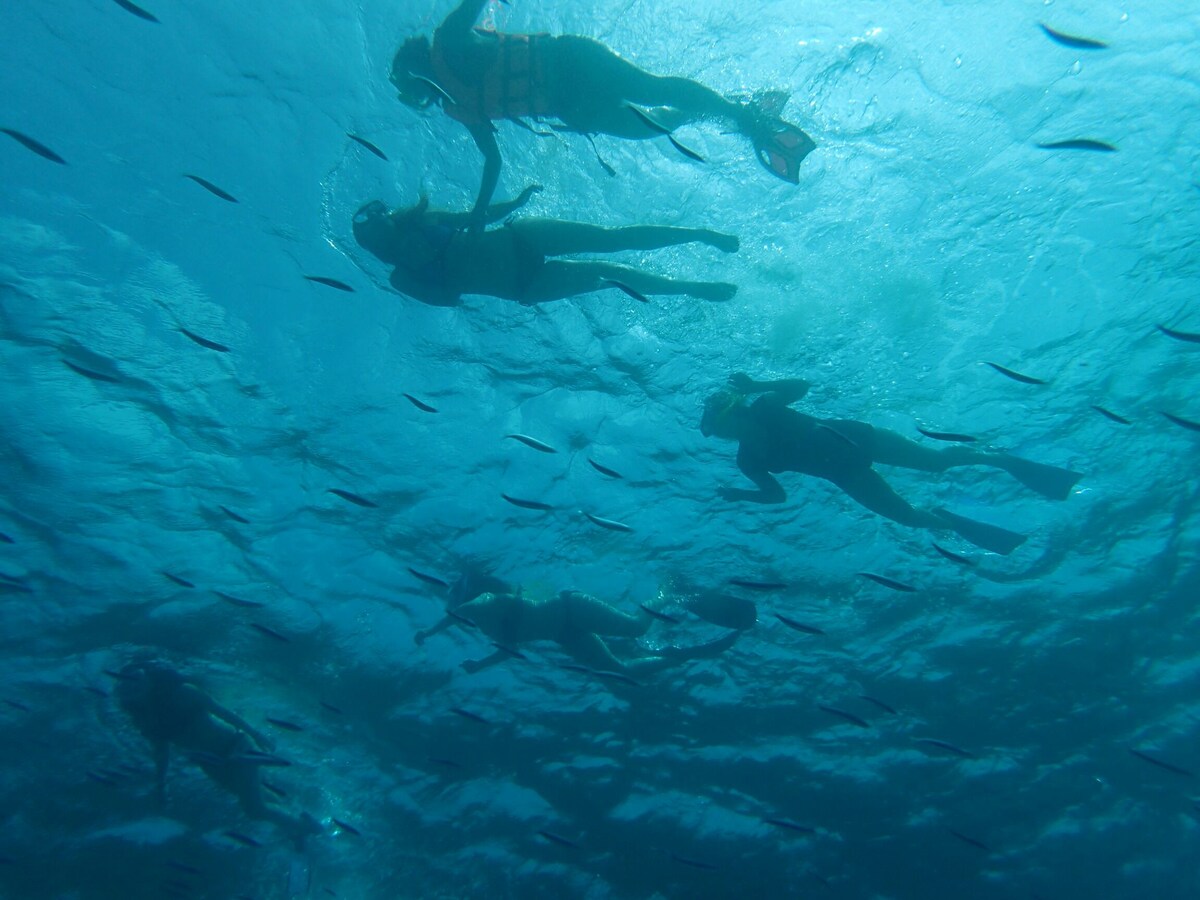 马尔代夫Rashuthere Maldives