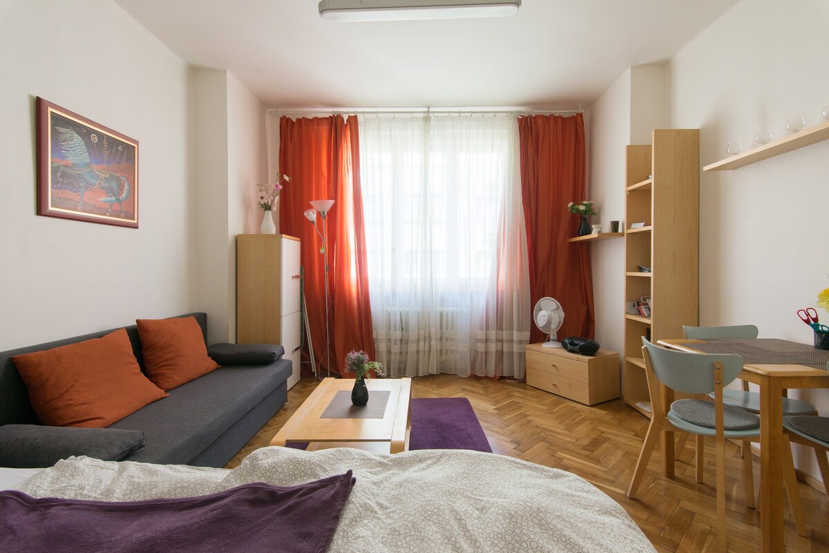 干净安静的公寓，距离布拉格市中心10分钟路程