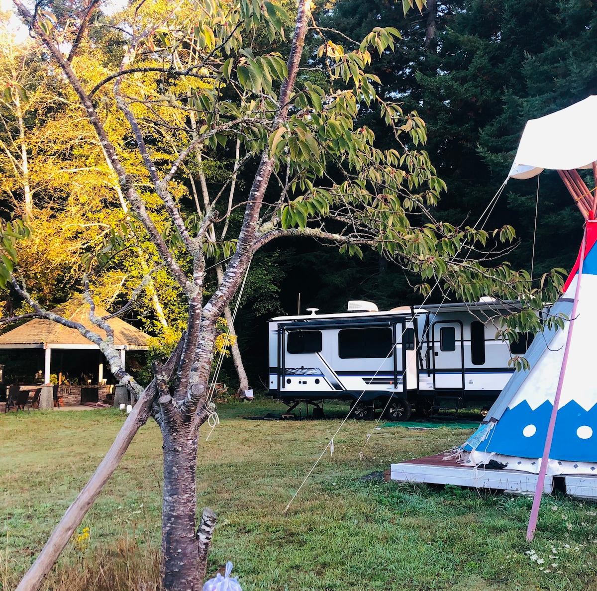 Rvtrailer&Summerhous in redwood forest and farm