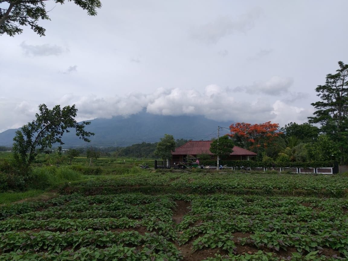 Cilimus Village ，欣赏Ciremai山的美景