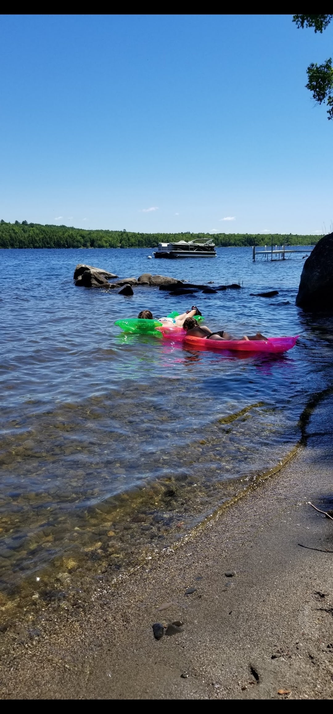 Cozy waterfront camp, loons!