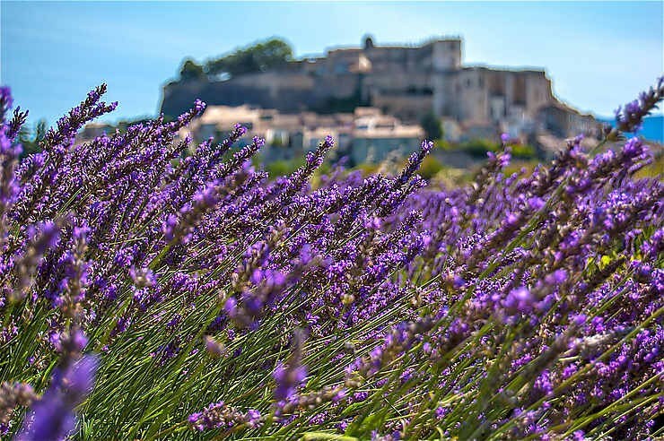 APPARTEMENT, PISCINE en Provence