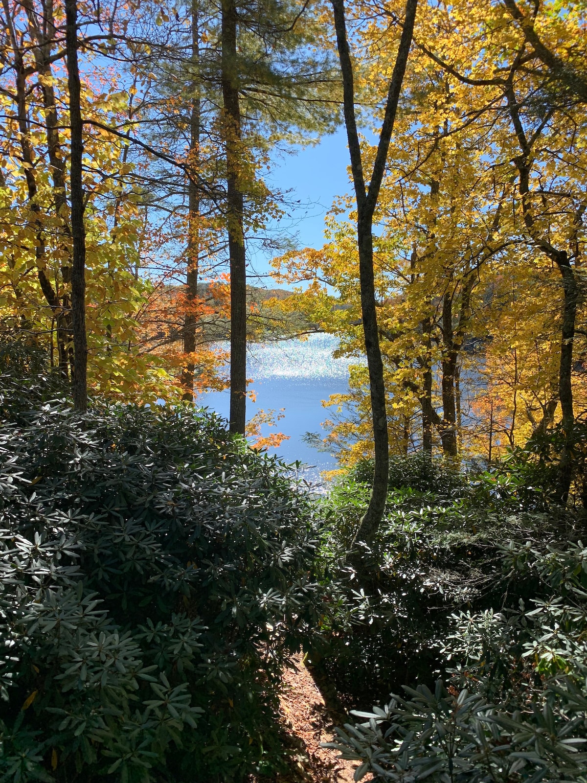 Lake House Retreat - Beautiful NC Mountains