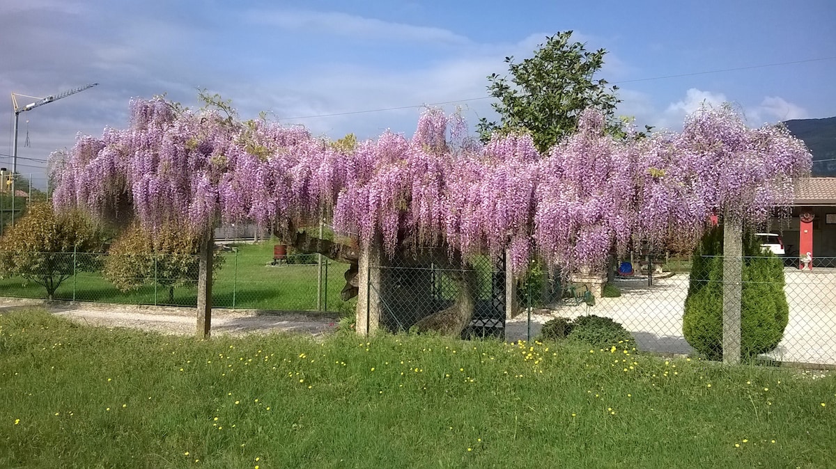 B&B Al Vecchio Glicine「At the Old Wisteria」