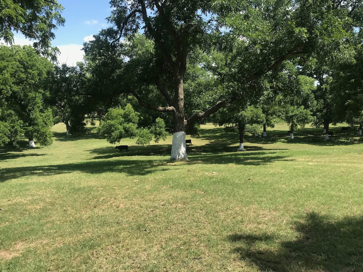 Ben Ranch Cabin # 2