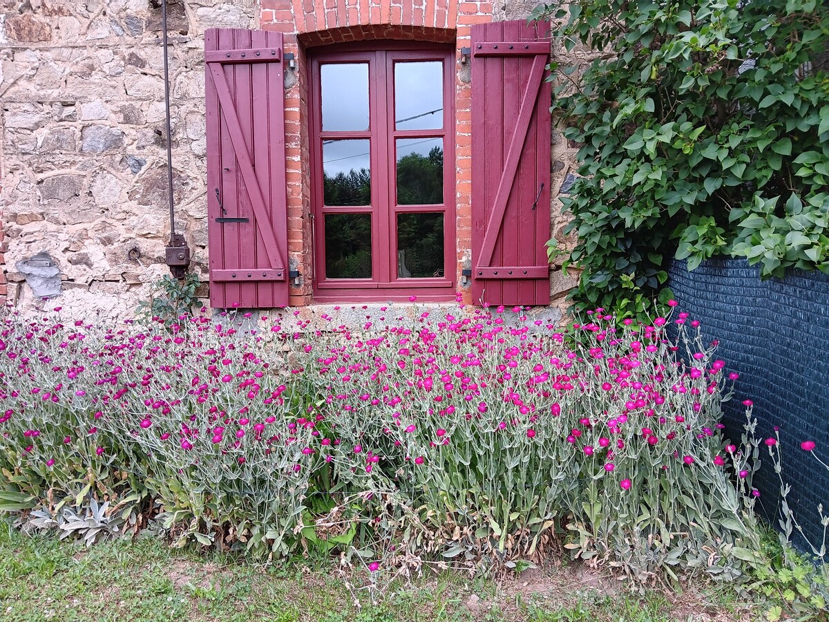 le  jardin de virginie