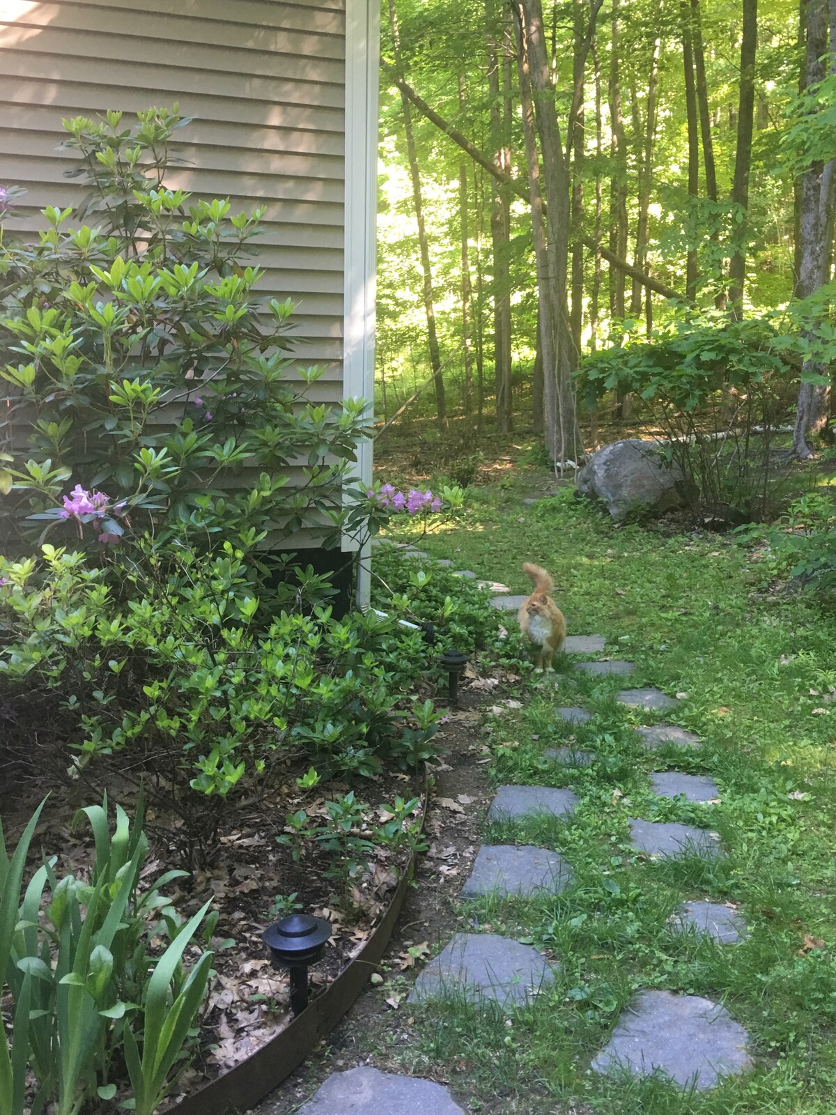 In-Law apartment in the Woods