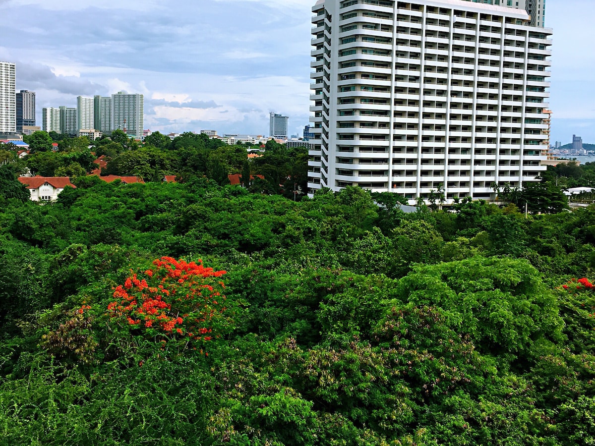 Pattya Club Royal one bedroom condo 芭堤雅真理寺高级公寓