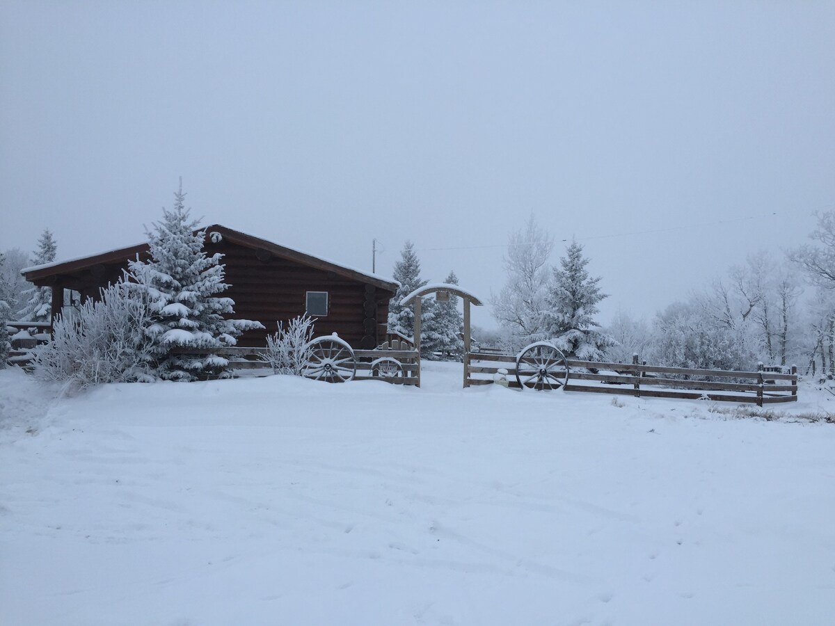 A log cabin in the woods