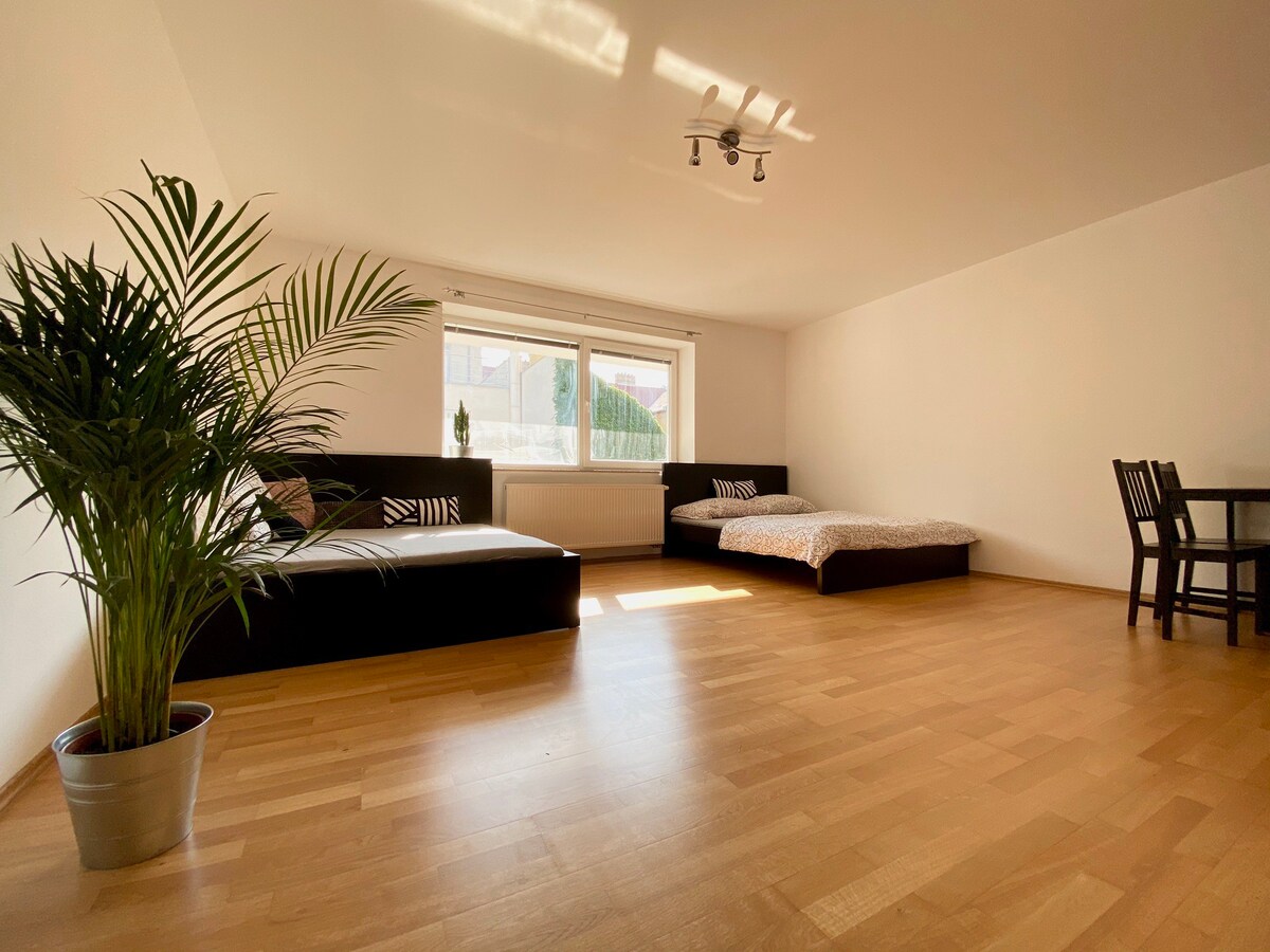 Sunny apartment close to the centre with parking