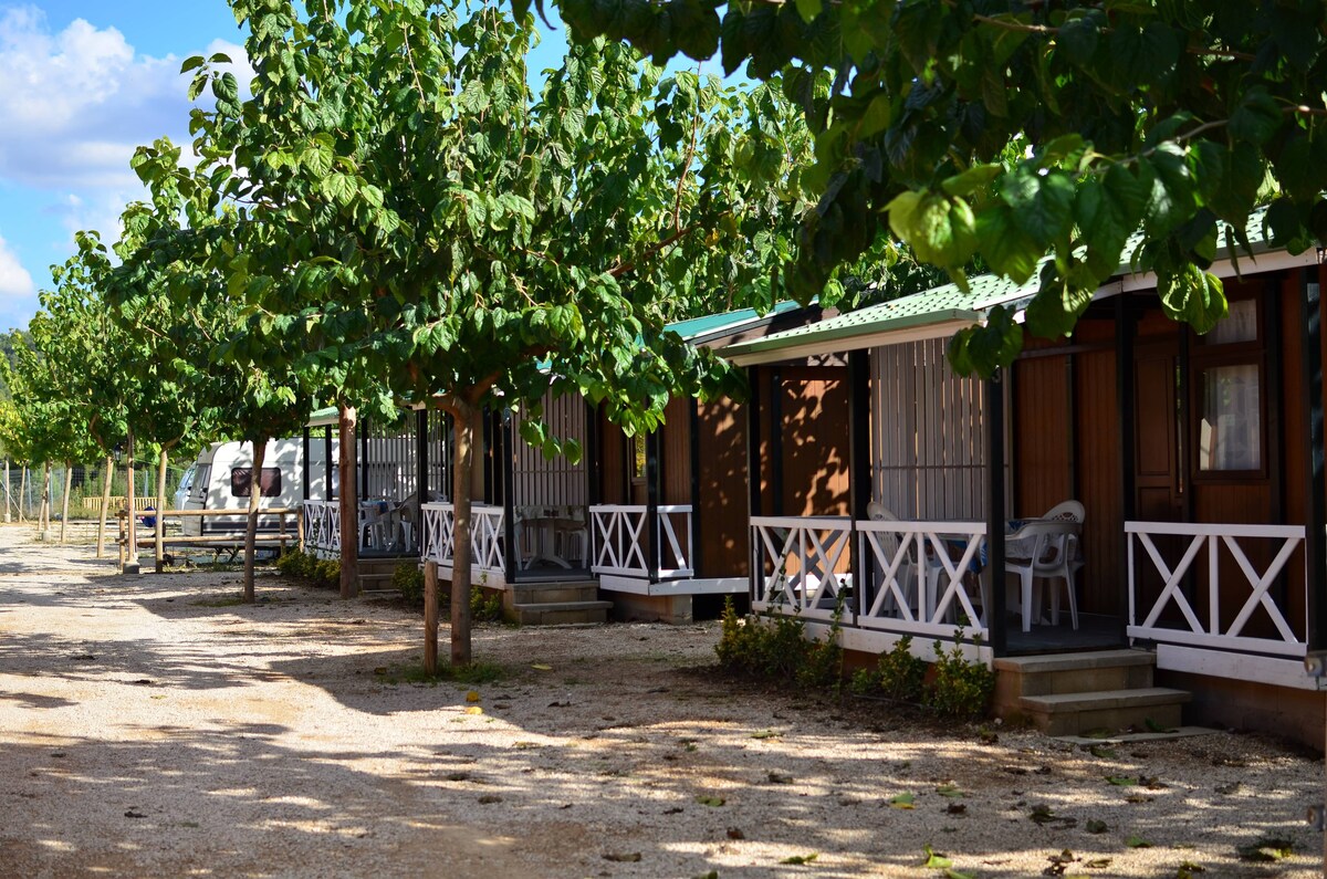 Mini - Cabaña de Madera con Piscina