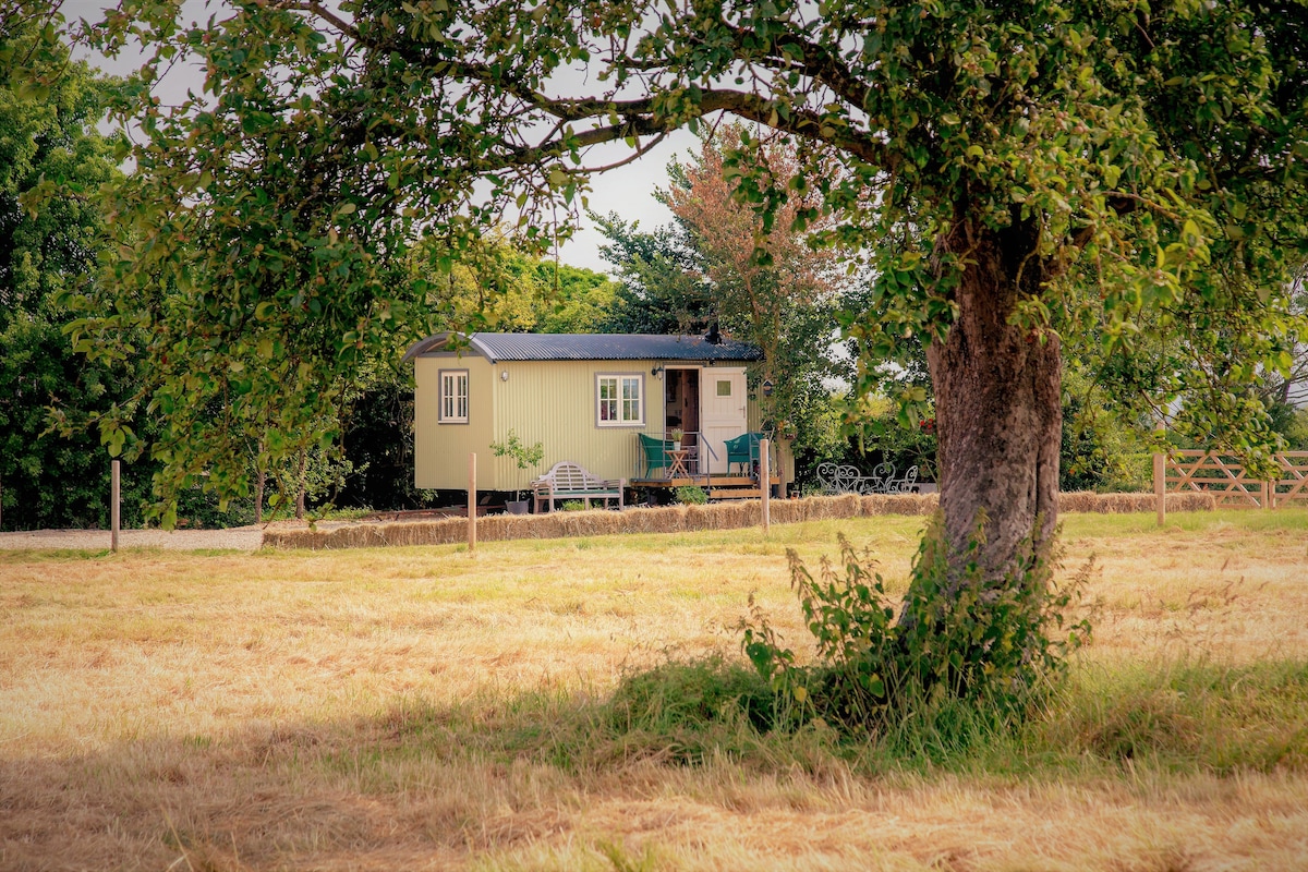 阿伯顿牧羊人小屋度假胜地