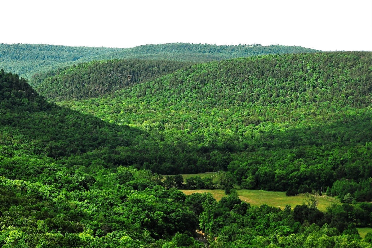 Natural Lodge at Meadowcreek